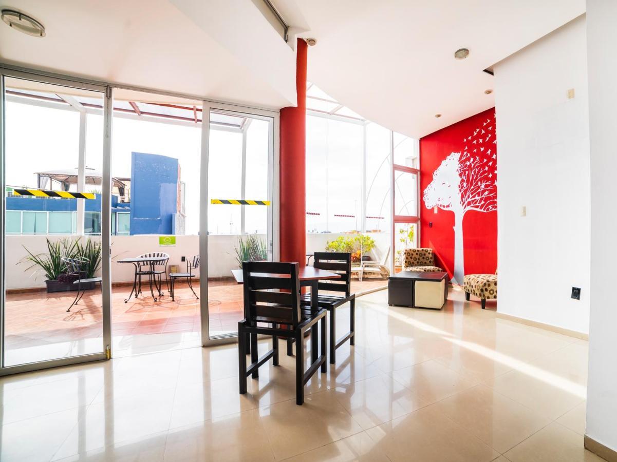 Hotel Hc Celaya  Dış mekan fotoğraf